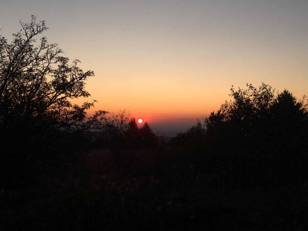 Ferienwohnung Stirnbergblick Ehrenberg  Kültér fotó